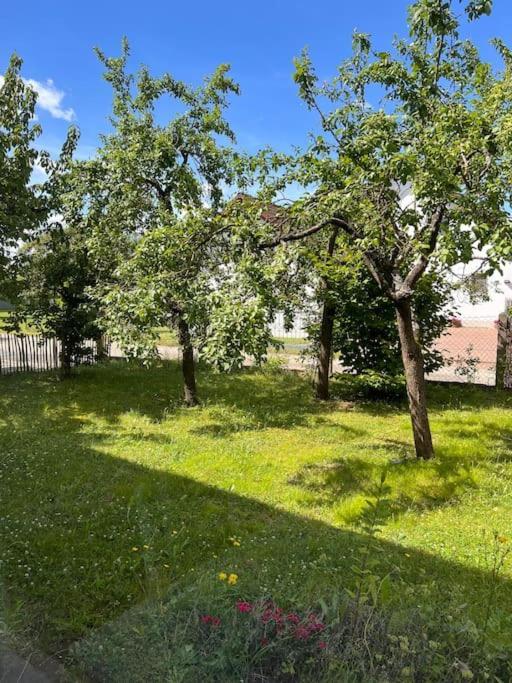 Wunderschoene Wohnung In Perfekter Lage Hilpoltstein Εξωτερικό φωτογραφία